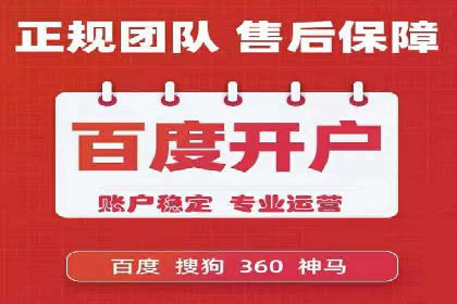 SEM外包服务应用案例分析